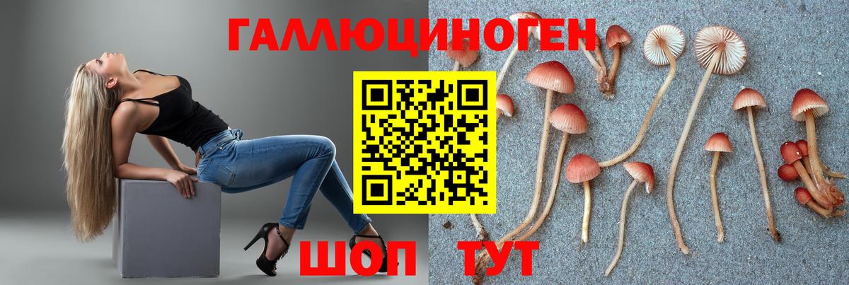 Псилоцибиновые грибы Psilocybine cubensis  Псилоцибиновые грибы мухоморы  Вход с VPN  Балтийск 