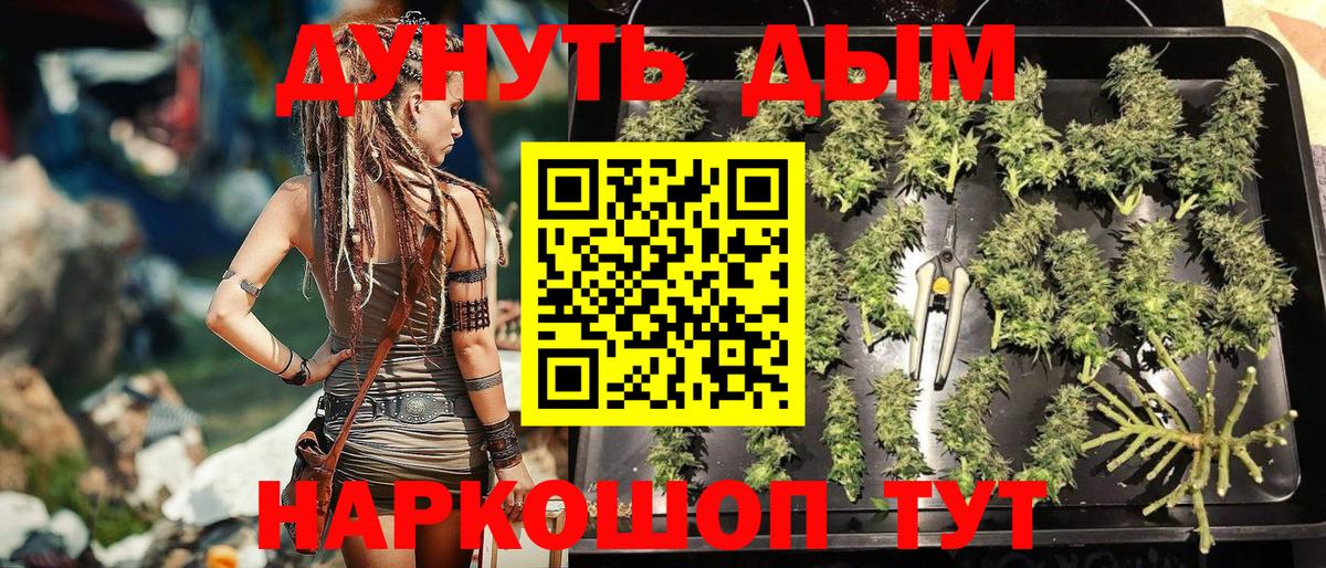 Каннабис ГИДРОПОН  МАРИХУАНА OG Kush  Конопля план  Балтийск  Вход с VPN  Марихуана марихуана 